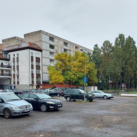 Central Gallery Apartment Debrecen Eksteriør bilde